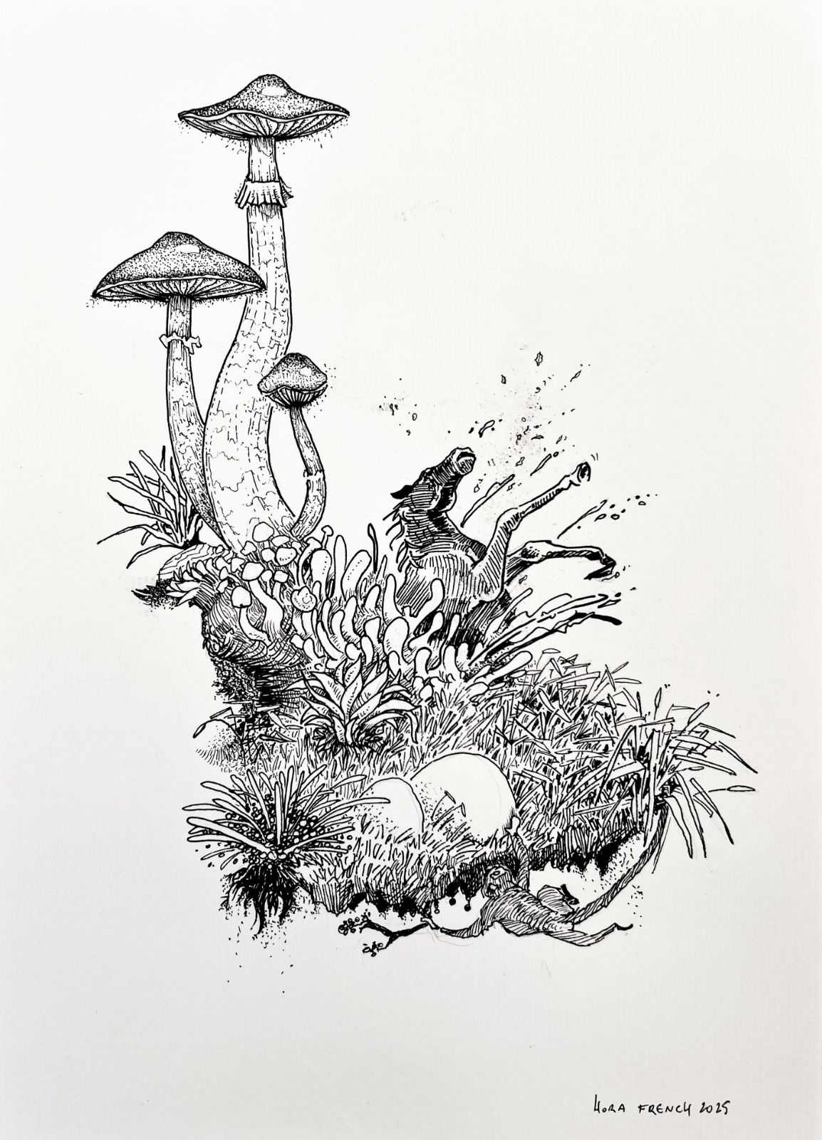 Floating Island