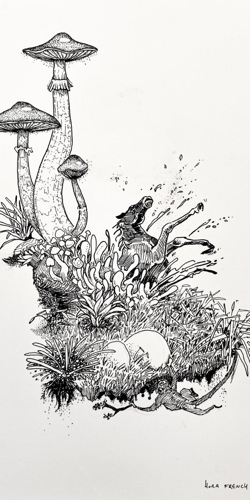 Floating Island – Hora French